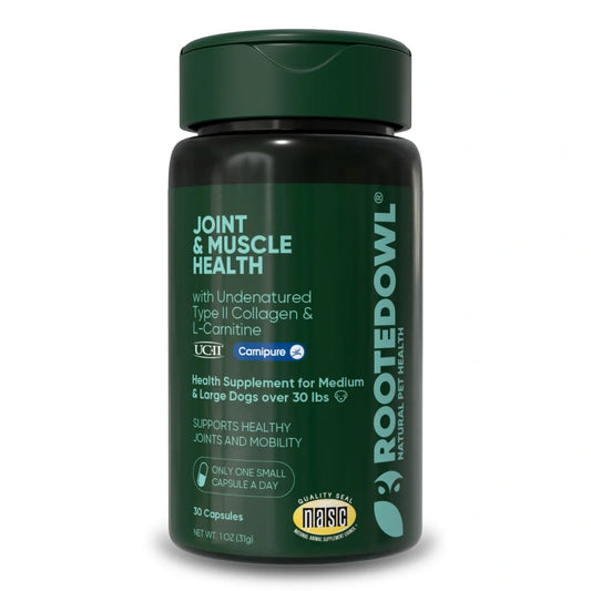 Joint & Muscle Health